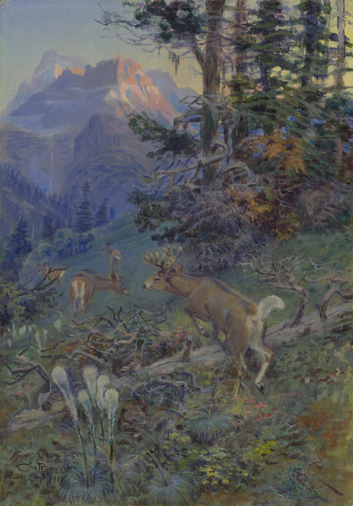 Deer in Forest by Charles M. Russell